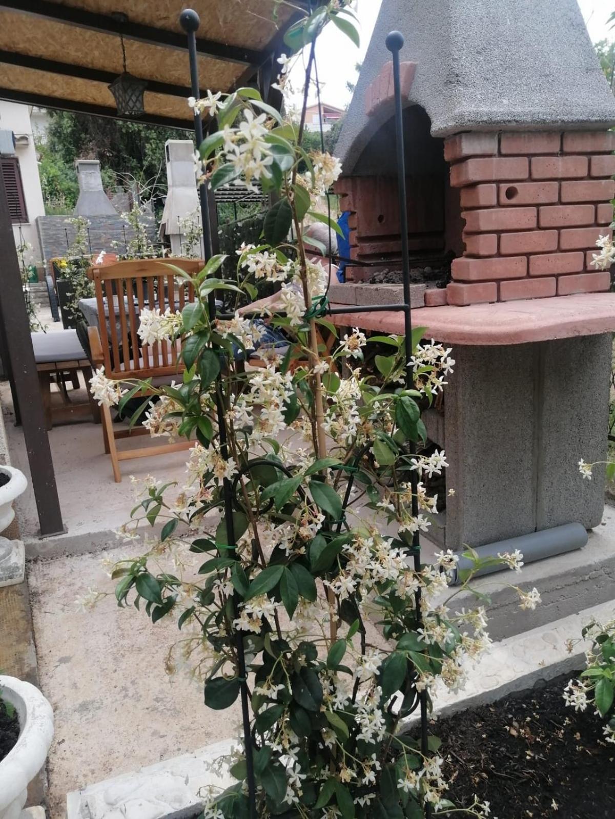 סגט ווראנייצה Apartments Kursan מראה חיצוני תמונה